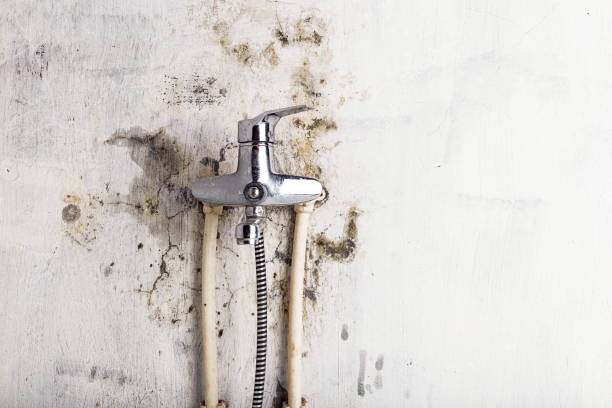 Best Water Damage Restoration  in Ashland, AL
