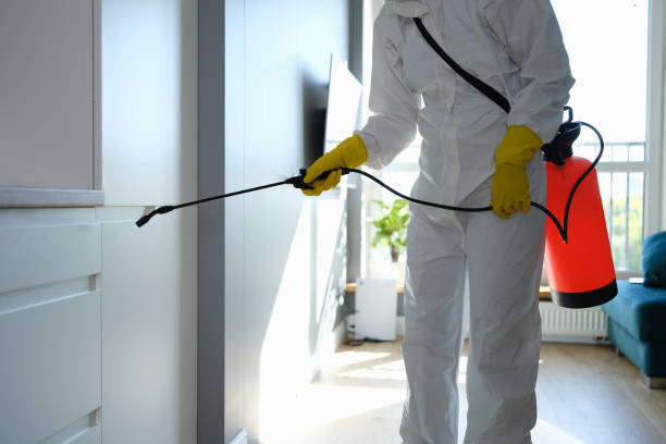 Best Local Mold Removal Service  in Ashland, AL