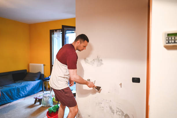 Best Office Mold Removal Services  in Ashland, AL