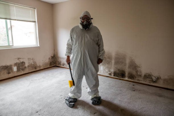 Best Crawl Space Mold Removal  in Ashland, AL